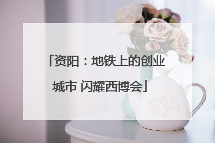 资阳：地铁上的创业城市 闪耀西博会