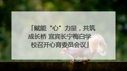 赋能“心”力量，共筑成长桥 宜宾长宁梅白学校召开心育委员会议