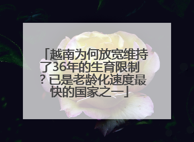 越南为何放宽维持了36年的生育限制？已是老龄化速度最快的国家之一