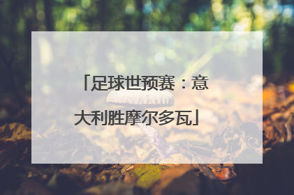 足球世预赛：意大利胜摩尔多瓦