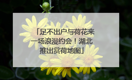 足不出户与荷花来一场浪漫约会！湖北推出赏荷地图