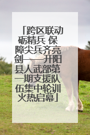 跨区联动砺精兵 保障尖兵齐亮剑——开阳县人武部第一期支援队伍集中轮训火热启幕