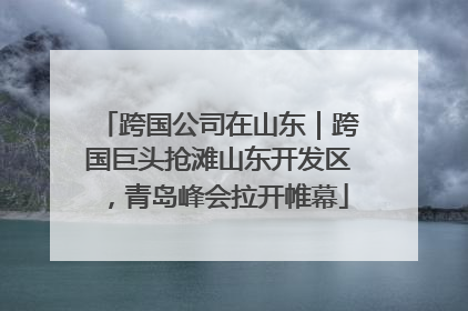 跨国公司在山东｜跨国巨头抢滩山东开发区，青岛峰会拉开帷幕