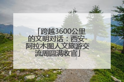 跨越3600公里的文明对话：西安-阿拉木图人文旅游交流周圆满收官