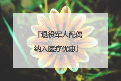 退役军人配偶纳入医疗优惠
