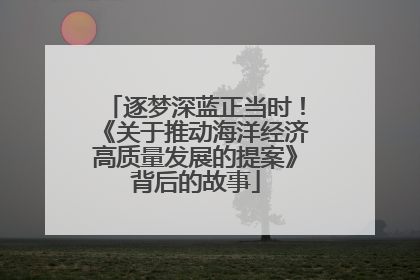 逐梦深蓝正当时！《关于推动海洋经济高质量发展的提案》背后的故事
