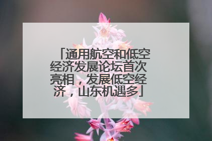 通用航空和低空经济发展论坛首次亮相，发展低空经济，山东机遇多
