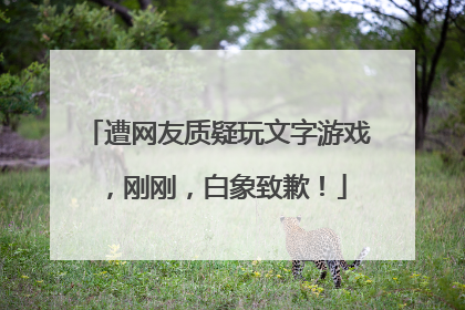 遭网友质疑玩文字游戏，刚刚，白象致歉！