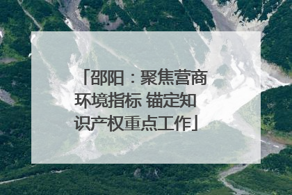 邵阳：聚焦营商环境指标 锚定知识产权重点工作