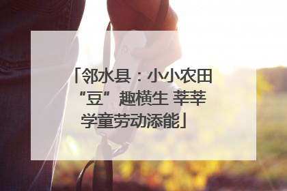 邻水县：小小农田“豆”趣横生 莘莘学童劳动添能