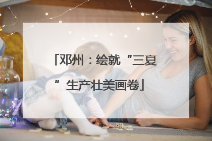 邓州：绘就“三夏”生产壮美画卷
