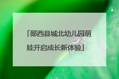 郧西县城北幼儿园萌娃开启成长新体验