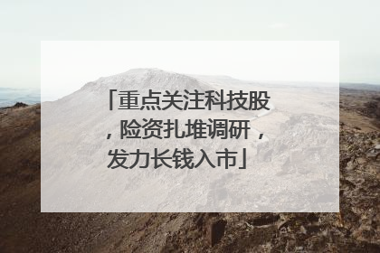 重点关注科技股，险资扎堆调研，发力长钱入市