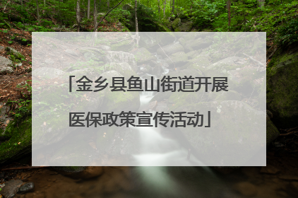 金乡县鱼山街道开展医保政策宣传活动