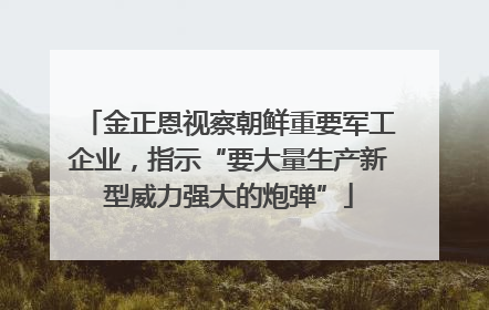 金正恩视察朝鲜重要军工企业，指示“要大量生产新型威力强大的炮弹”