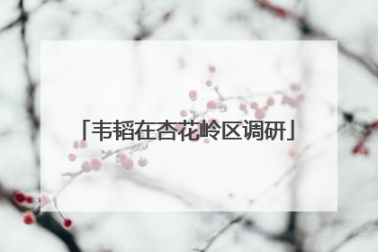 韦韬在杏花岭区调研