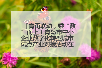 青甬联动，乘“数”而上！青岛市中小企业数字化转型城市试点产业对接活动在宁波开班