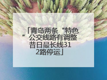 青岛两条“特色”公交线路有调整 昔日最长线312路停运