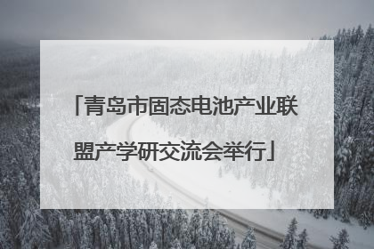 青岛市固态电池产业联盟产学研交流会举行