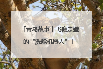 青岛故事丨飞檐走壁的“洗舱机器人”