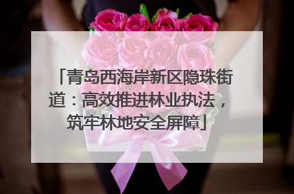 青岛西海岸新区隐珠街道：高效推进林业执法，筑牢林地安全屏障