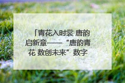 青花入时裳 唐韵启新章——“唐韵青花 数创未来”数字文创设计大赛启幕