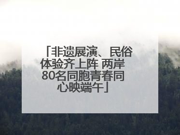 非遗展演、民俗体验齐上阵 两岸80名同胞青春同心映端午