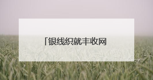 银线织就丰收网 电力护航保归仓