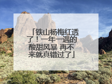 铁山杨梅红透了！一年一遇的酸甜风暴 再不来就真错过了
