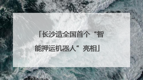 长沙造全国首个“智能押运机器人”亮相