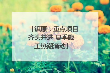 镇原：重点项目齐头并进 夏季施工热潮涌动