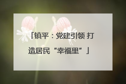 镇平：党建引领 打造居民“幸福里”