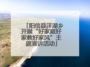 阳信县洋湖乡开展“好家庭好家教好家风”主题宣讲活动