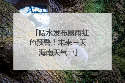 陵水发布暴雨红色预警！未来三天海南天气→