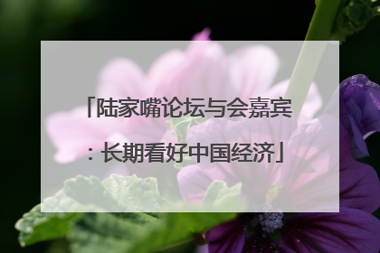 陆家嘴论坛与会嘉宾：长期看好中国经济