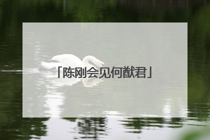 陈刚会见何猷君