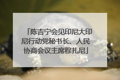 陈吉宁会见印尼大印尼行动党秘书长、人民协商会议主席穆扎尼