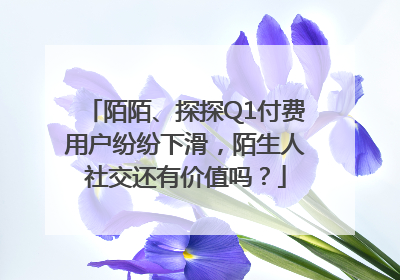 陌陌、探探Q1付费用户纷纷下滑，陌生人社交还有价值吗？