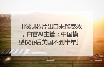 限制芯片出口未能奏效，白宫AI主管：中国模型仅落后美国不到半年