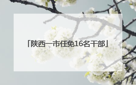 陕西一市任免16名干部