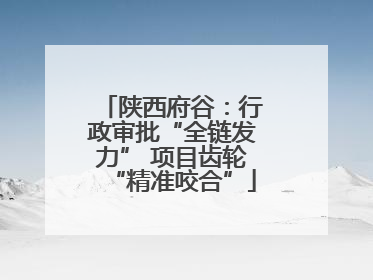 陕西府谷：行政审批“全链发力” 项目齿轮“精准咬合”