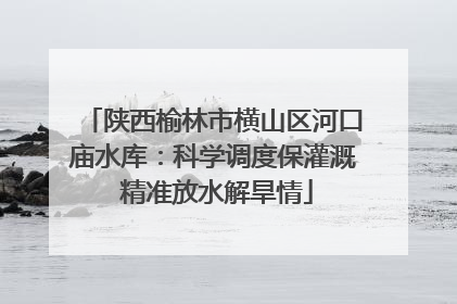 陕西榆林市横山区河口庙水库：科学调度保灌溉 精准放水解旱情