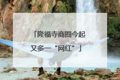 隆福寺商圈今起又多一“网红”