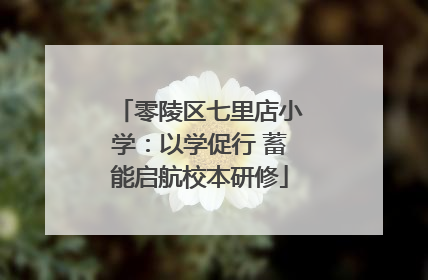 零陵区七里店小学：以学促行 蓄能启航校本研修