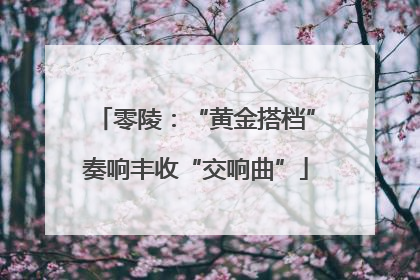 零陵：“黄金搭档”奏响丰收“交响曲”