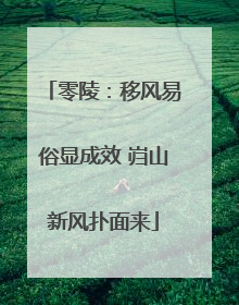 零陵：移风易俗显成效 岿山新风扑面来