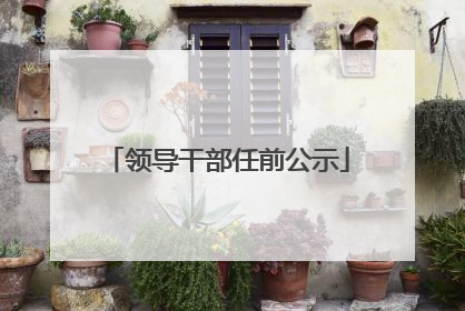 领导干部任前公示