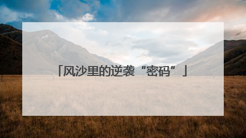 风沙里的逆袭“密码”
