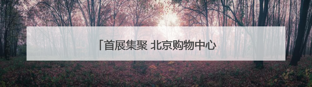 首展集聚 北京购物中心端午假期家庭消费活跃