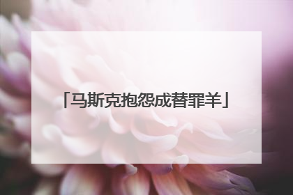 马斯克抱怨成替罪羊